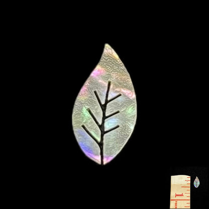 NAIL NAJEONCHILGI PEARL INLAY